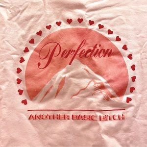 ⭐️ NWT Skinnydip London Perfection Pink Cropped Tee XL